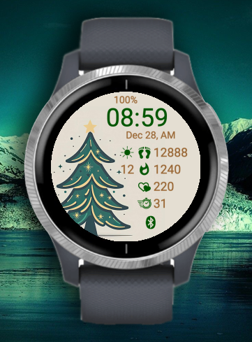 Christmas X29