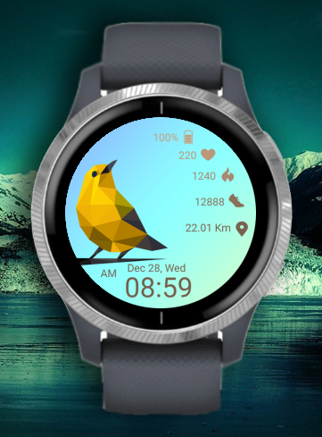 Bird Time