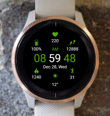 Garmin Watch Face - Sport Green