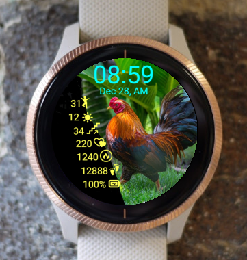 Garmin Watch Face - Chanticleer