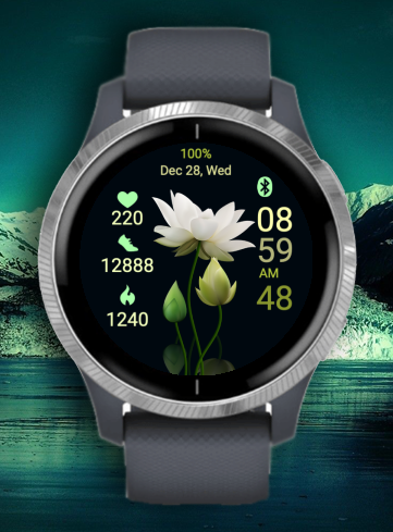 Lotus Five