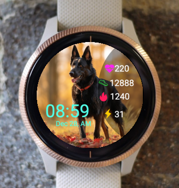 Garmin Watch Face - German shepherd