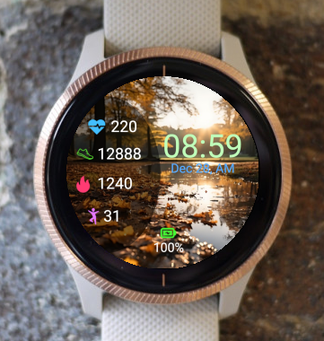 Garmin Watch Face - Autumn S02