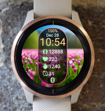 Garmin Venu 3 Watch Face - Spring O