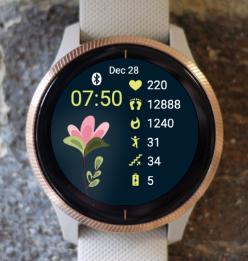 Garmin Watch Face - Pink One