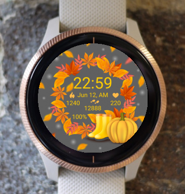 Garmin Watch Face - Autumn Magic 17