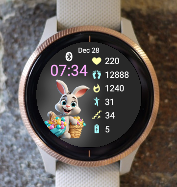 Garmin Watch Face - Cute Animal Rabbit