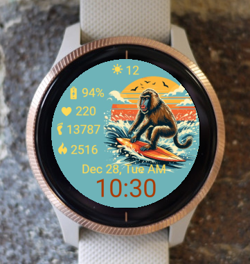 Garmin Watch Face - Surf Monkey Sport Garmin