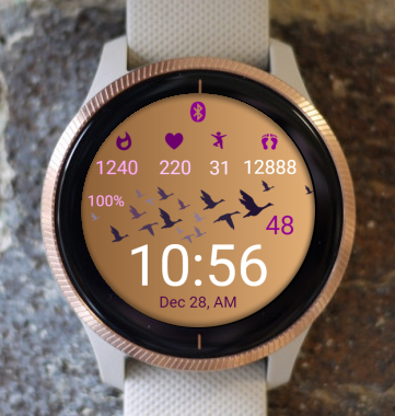 Garmin Watch Face - Bird - Ducks