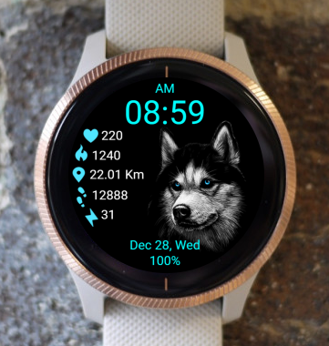 Garmin Watch Face - Dog - Husky