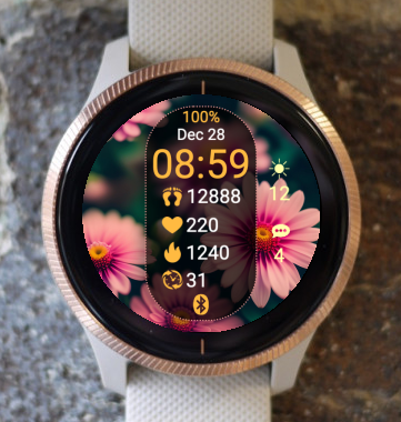 Garmin Watch Face - Spring S05