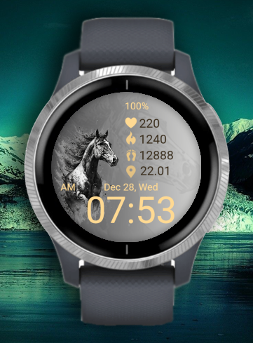 Run - Horse 02