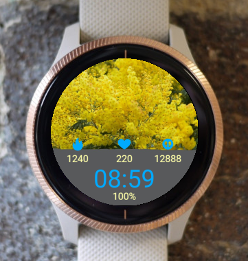 Garmin Watch Face - Mimosa For Women