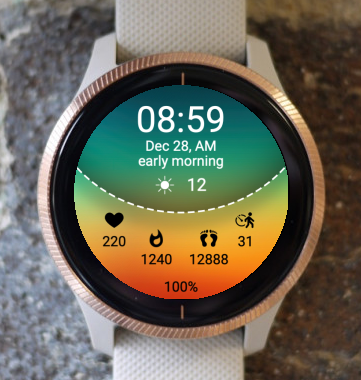 Garmin Watch Face - Grady 4C