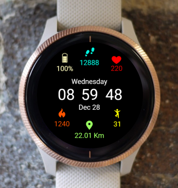 Garmin Watch Face - Fitness Pro Garmin