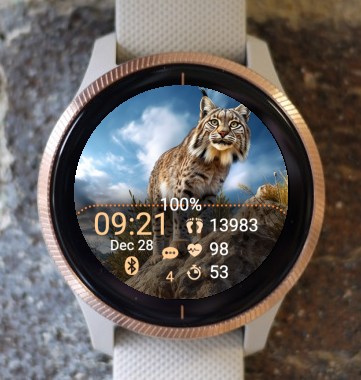 Garmin Watch Face - Wildlife W06