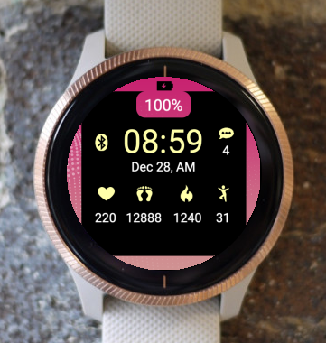 Garmin Watch Face - Echelon STY