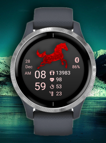 Run - Horse