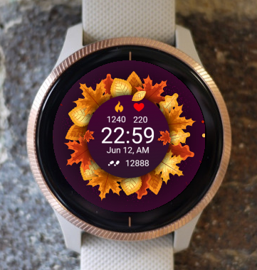 Garmin Watch Face - Autumn Magic 08