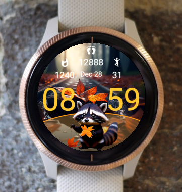 Garmin Watch Face - Autumn O4