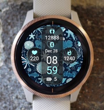 Garmin Watch Face - Ocean O4