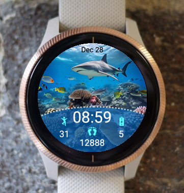 Garmin Watch Face - OneTwo OOO