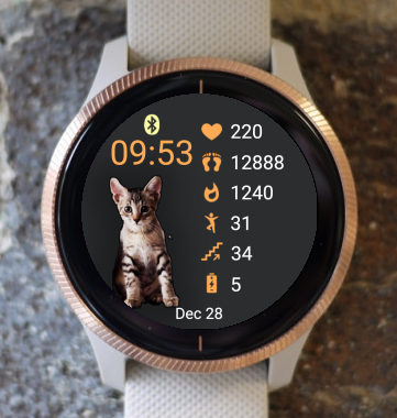 Garmin Watch Face - Baby Ákos