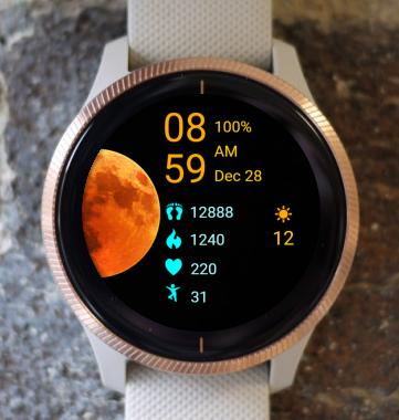 Garmin Watch Face - Moon