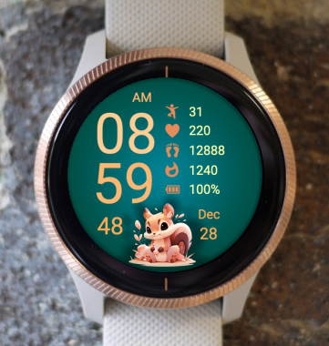 Garmin Watch Face - Squirrel