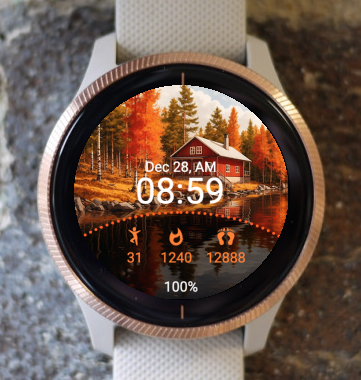 Garmin Watch Face - Autumn O2