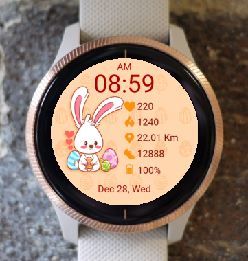 Garmin Watch Face - Funny Bunny