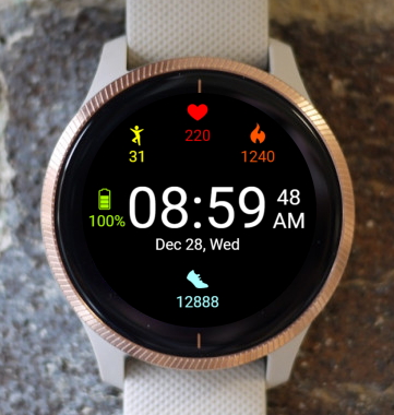 Garmin Watch Face - Easy Read Active