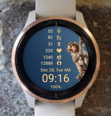 Garmin Watch Face - Monkey 02