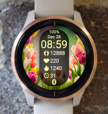 Garmin Watch Face - Spring S09