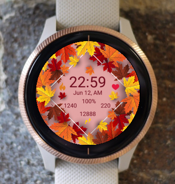 Garmin Watch Face - Autumn Magic 18