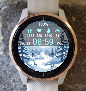 Garmin Watch Face - Winter OneTwo W1