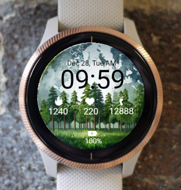 Garmin Watch Face - Garmin Sport Pine