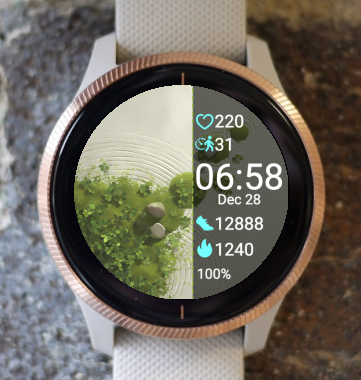 Garmin Watch Face - Simplicity