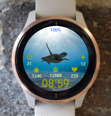 Garmin Watch Face - Underwater Life