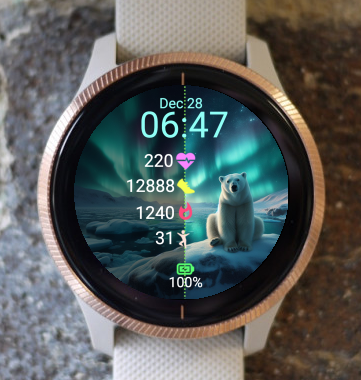 Garmin Watch Face - Polar bear