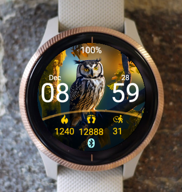 Garmin Watch Face - Owl D5