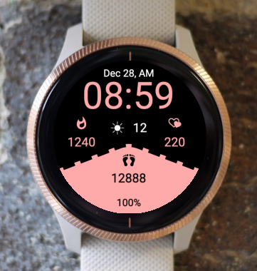 Garmin Watch Face - Echelon A1