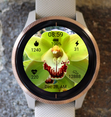 Garmin Watch Face - Green orchid