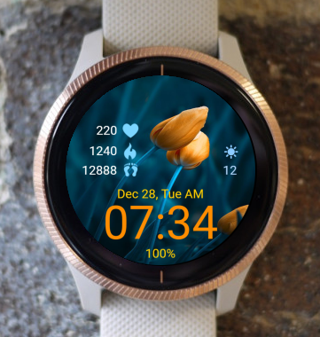 Garmin Watch Face - Orange Tulip