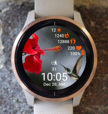 Garmin Watch Face - With Red Flowers