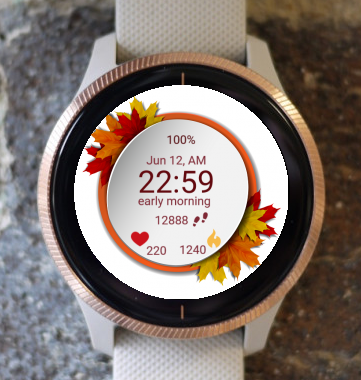 Garmin Watch Face - Autumn Magic 05