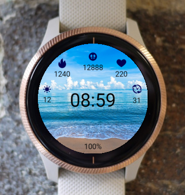 Garmin Watch Face - Tropical Beach