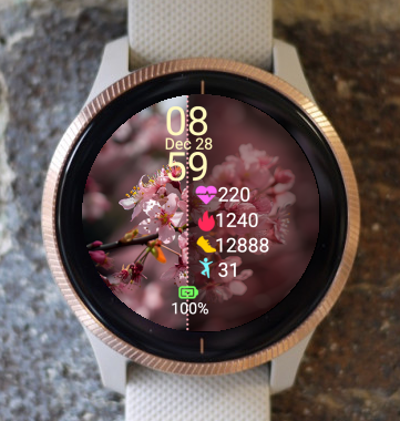 Garmin Watch Face - Spring time