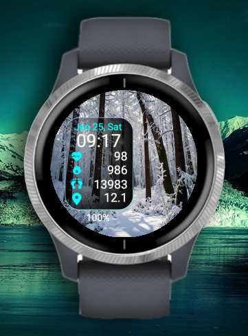 Winter Forest