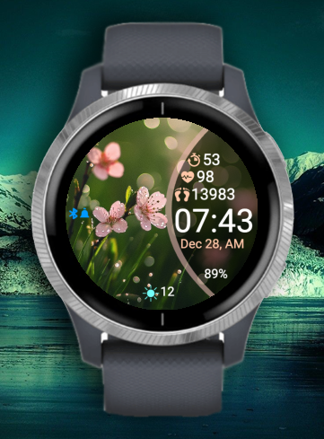 SpringTime Pro